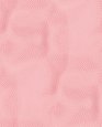 blank 21419