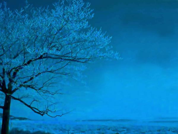 tree in light blue