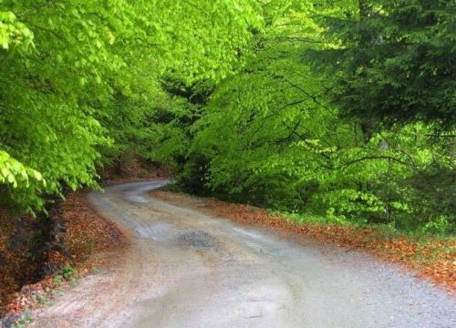 road16