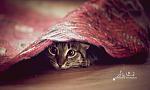 user1594 pic598 1259074767 thumb[2]