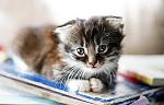 user1594 pic582 1258734858 thumb[2]