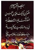 فقط عکس