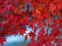 user362 pic1504 1279911772