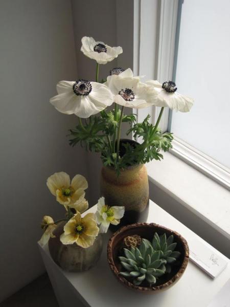 060410 flowers[1]