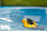 1296948821 amazing photos that are not photoshopped 1