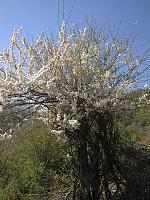 Image078