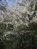 Image089