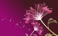 cg pink flower