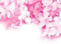 Wallpaper Pink Flowers11 rot 90