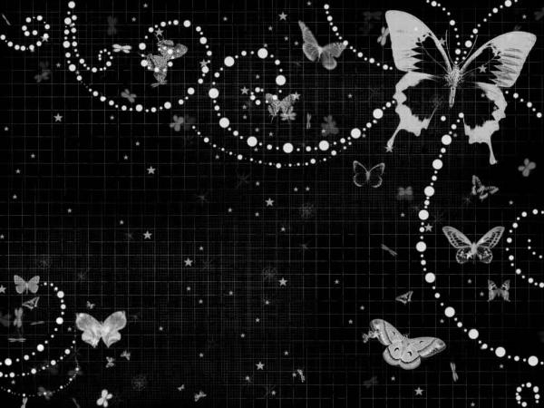 black butterfly background