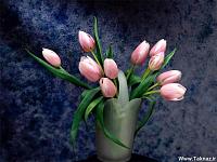0 984601001284618638 a bunch of flowers281229