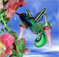 Wonderful 017