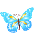 butterfly blue