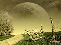 Parnian (22)