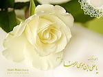 user1594 pic577 1258571842 thumb[2]