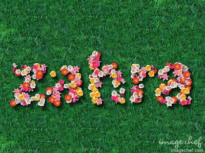 زهرا قربانی