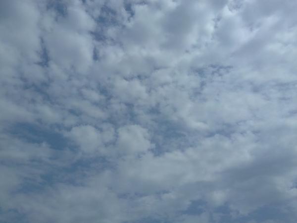20110818026
