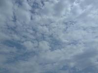 20110818026