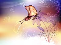 Drawn wallpapers Butterfly on a flower 016009