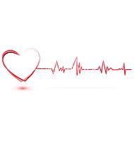heart with cardiology vector