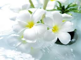 images (1)