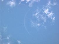 91A venusmoon eder la