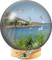images
