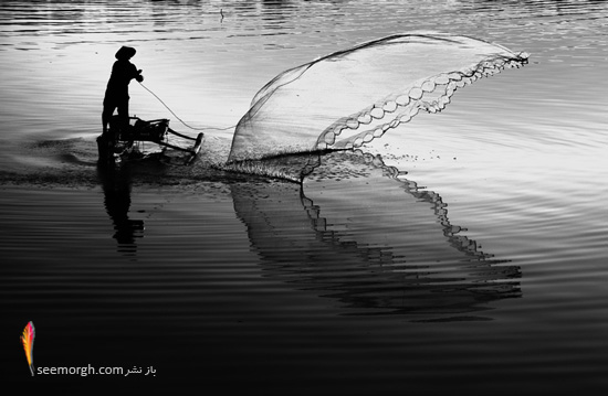 blackandwhite 18