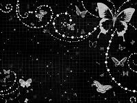 black butterfly background