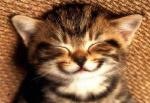 IranianSmile آواتار ها