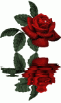 OMID... آواتار ها
