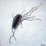 bacteria آواتار ها