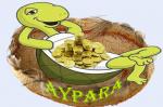 aypara آواتار ها