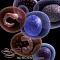 آواتار biogene