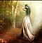 آواتار setaysh163