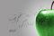 آواتار saeedut
