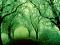 آواتار OverSpring
