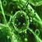 آواتار mr.virus