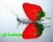 آواتار chmd