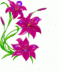 آواتار vahidfd