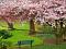 آواتار green life