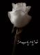 آواتار جلبک20