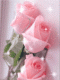آواتار 3383