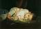 آواتار sibor