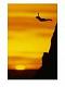 آواتار cliff