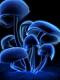 آواتار bahar_19