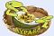 آواتار aypara