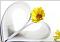 آواتار fh1368h